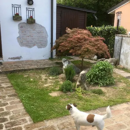 La Casa Di Petali E Seta * Padua